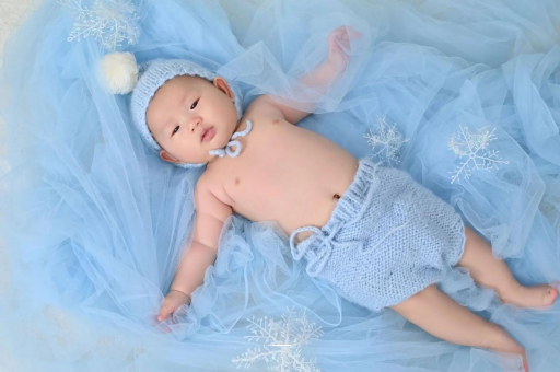 安顺宝宝树怎么样 安顺宝宝树怎么样